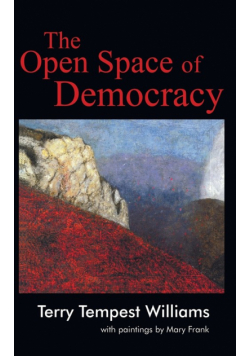 The Open Space of Democracy