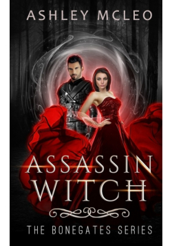 Assassin Witch