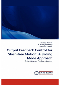 Output Feedback Control for Slosh-Free Motion