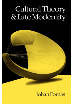Cultural Theory and Late Modernity