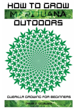 How To Grow Marijuana Outdoors