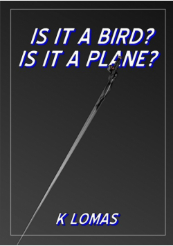 Is It A Bird? Is It A Plane?