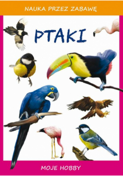 Ptaki