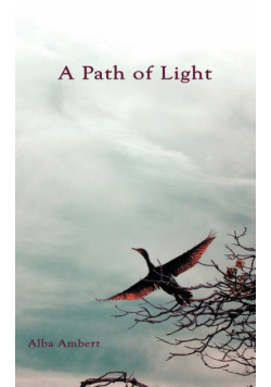 A Path of Light