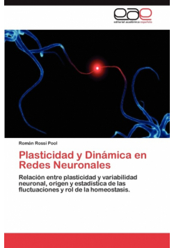 Plasticidad y Dinamica En Redes Neuronales
