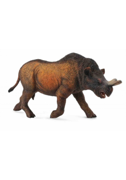 Megacerops