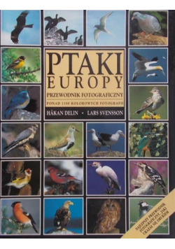 Ptaki Europy Przewodnik fotograficzny