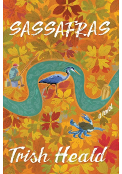 Sassafras
