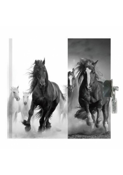 Pamiętnik z kłódką Running Horses 17-3640HO PASO