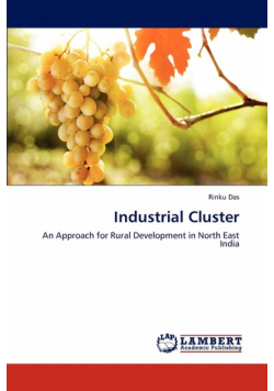 Industrial Cluster