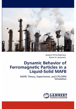 Dynamic Behavior of Ferromagnetic Particles in a Liquid-Solid Mafb