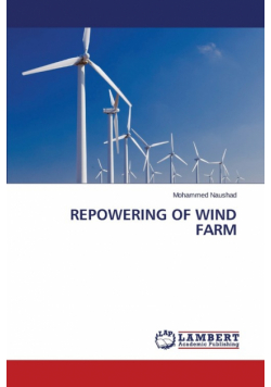 Repowering of Wind Farm