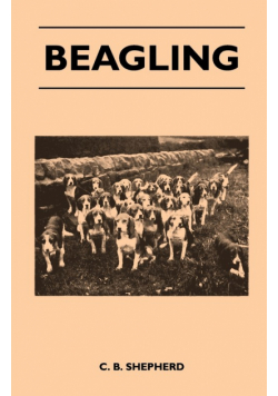 Beagling