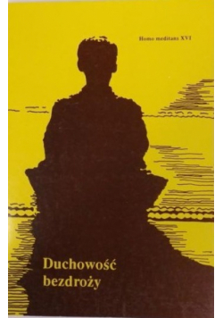 Duchowość bezdroży Homo Meditans XVI