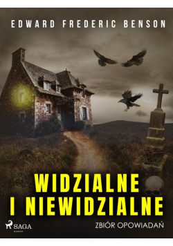 Widzialne i niewidzialne. Zbiór opowiadań
