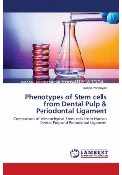Phenotypes of Stem cells from Dental Pulp & Periodontal Ligament