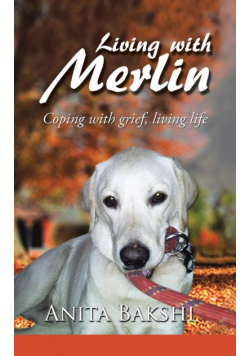 Living with Merlin