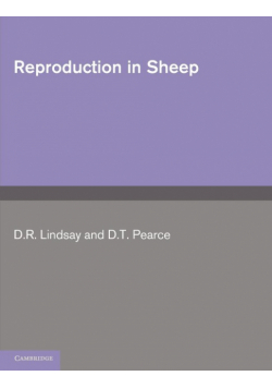 Reproduction in Sheep