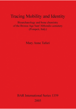 Tracing Mobility and Identity
