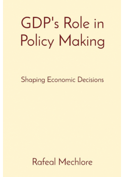 GDP's Role in Policy Making