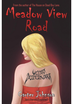Meadow View Road
