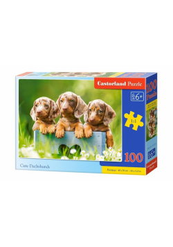 Puzzle 100 Słodkie jamniki CASTOR