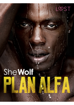 Plan Alfa – opowiadanie erotyczne