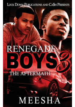 Renegade Boys 3