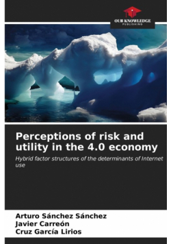 Perceptions of risk and utility in the 4.0 economy