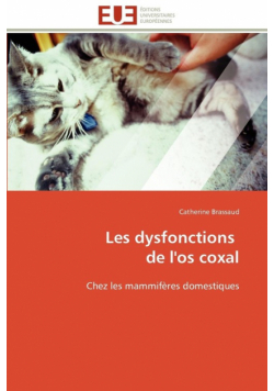 Les dysfonctions   de l'os coxal