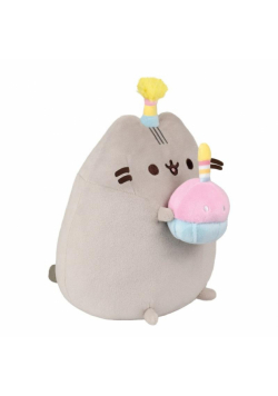 Pusheen z tortem