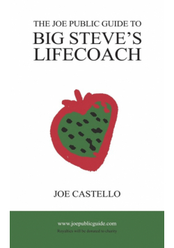 The Joe Public Guide To Big Steve's Lifecoach