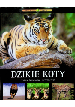 Dzikie koty Nowa