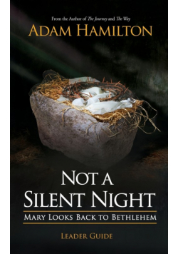 Not a Silent Night Leader Guide