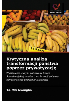 Krytyczna analiza transformacji państwa poprzez prywatyzację