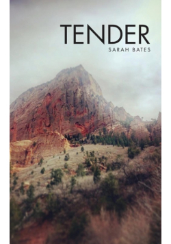 Tender