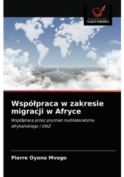 Współpraca w zakresie migracji w Afryce