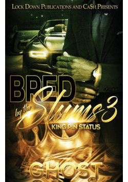 Bred by the Slums 3