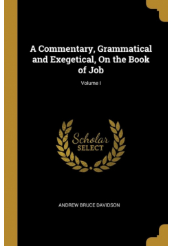 A Commentary, Grammatical and Exegetical, On the Book of Job; Volume I