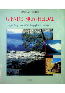 Gjende Sjoa Heidal