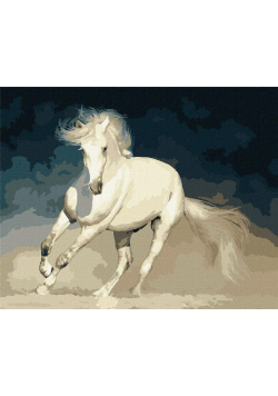 Malowanie po numerach - Biała łaska 40x50