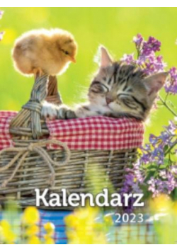 Kalendarz 2023 A6 Zdzierak MIX ARTSEZON
