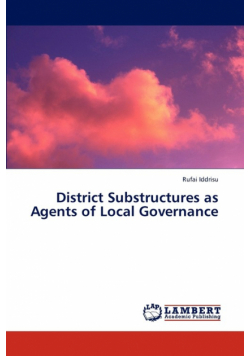 District Substructures as Agents of Local Governance
