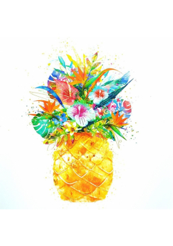 Karnet KW HS Ananas