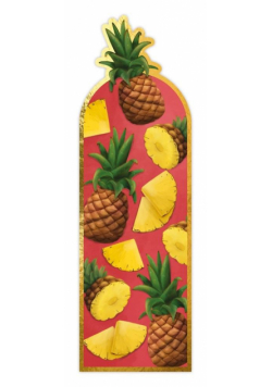 Zakładka magnetyczna Ananas