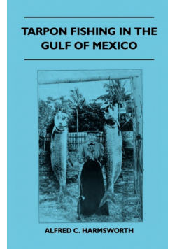 Tarpon Fishing In The Gulf Of Mexico
