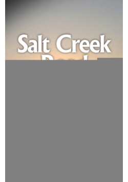 Salt Creek Road
