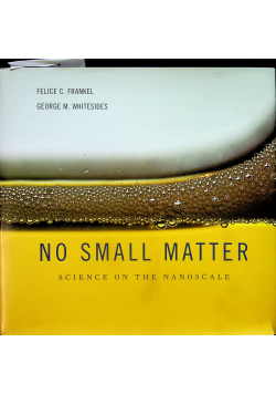 No Small Matter Science on the Nanoscale
