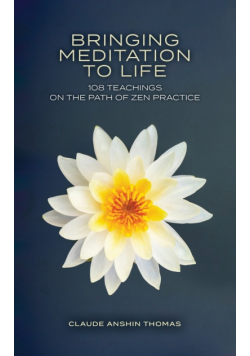 Bringing Meditation to Life