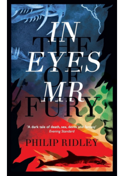 In the Eyes of Mr Fury